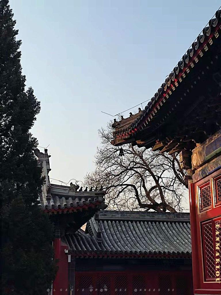 2023 02 05  PEKIN - WANSHOU TEMPLE LONGEVITE BIENVEILLANCE (27).jpg